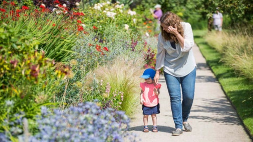 Visitors in the Walled Garden in July at Wimpole Estate, Cambridgeshire